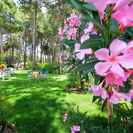 Colorado Lignano Sabbiadoro