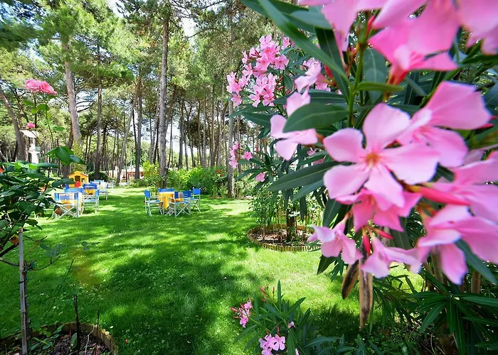 Colorado Lignano Sabbiadoro